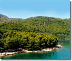 Hvar